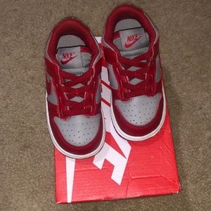 Toddler Dunks 7C